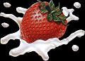 fruit (5)
